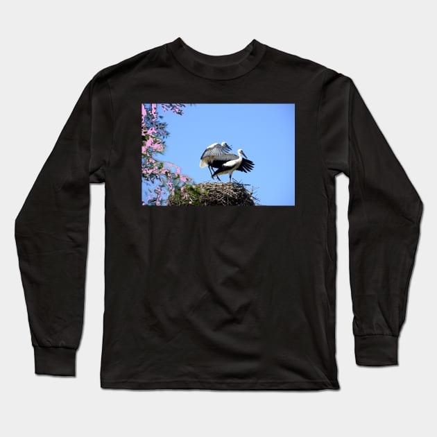 Storch / Swiss Artwork Photography Long Sleeve T-Shirt by RaphaelWolf